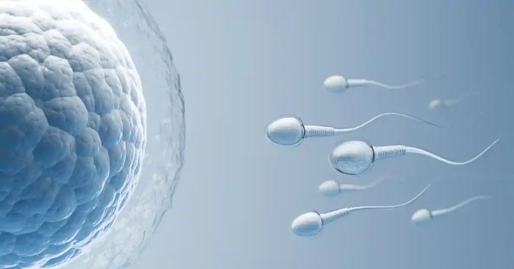 Espermas en camino al óvulo femenino, haciendo referencia a la fertilidad masculina